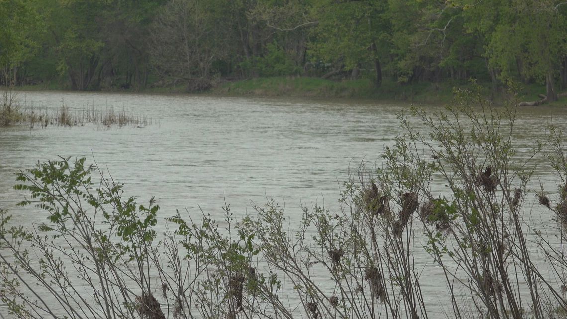Maumee River's walleye run ending as waters warm above spawning temperatures