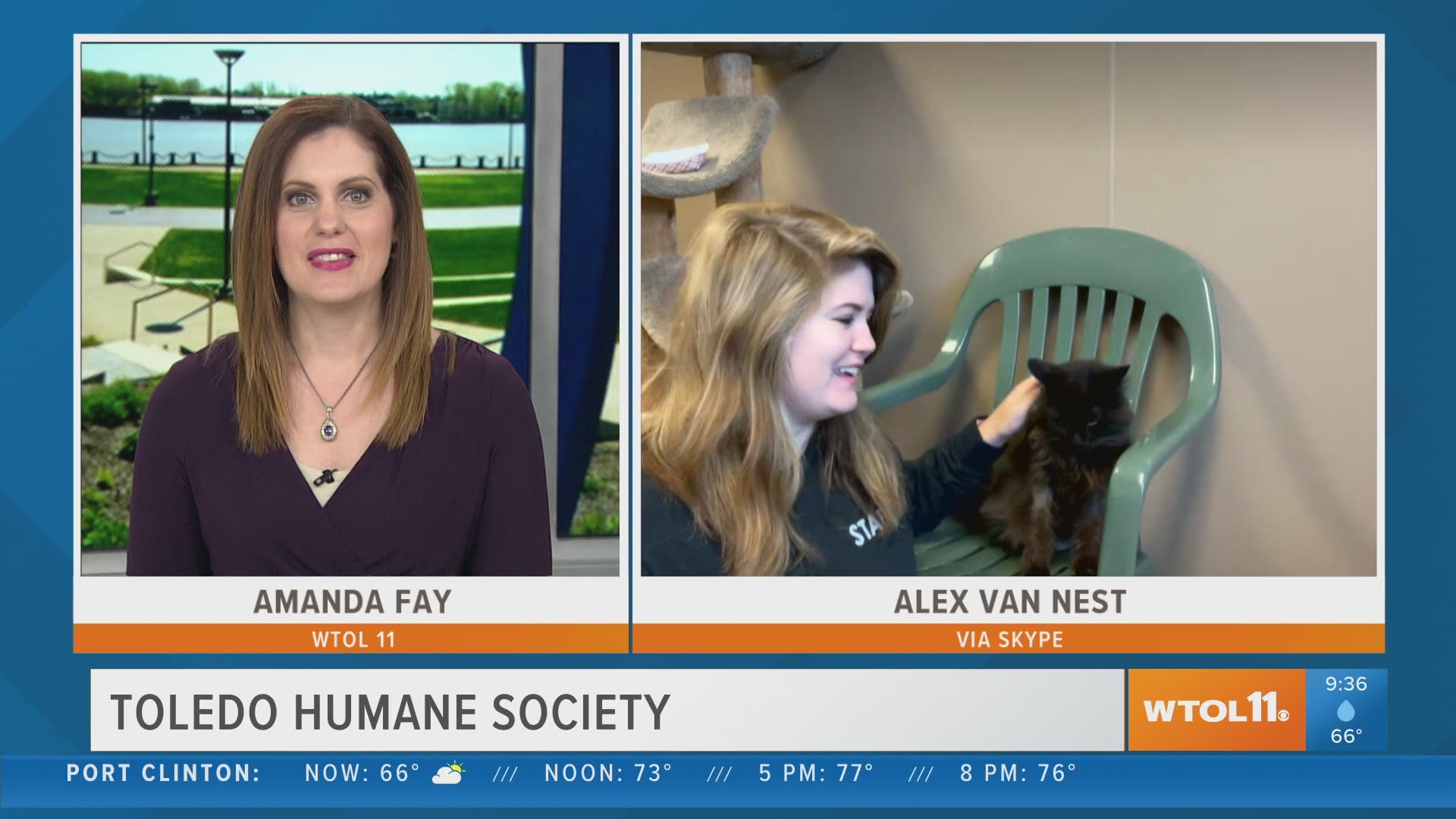 Online adoptions and curbside pickup are available at Toledo Humane Society!