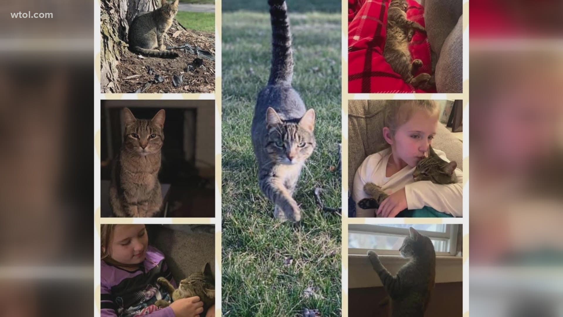 Ruby has been missing for a year and to ease her mind, Hailey Dixon wrote a book about all the adventures she thinks Ruby is on while away from her Ohio home.