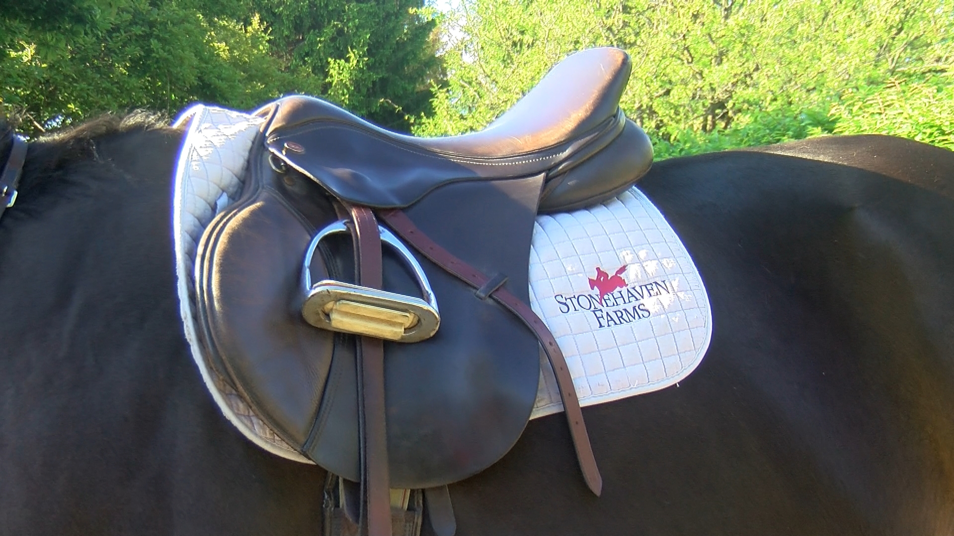 Stonehaven Farms in Temperance rides through IEA Nationals | wtol.com