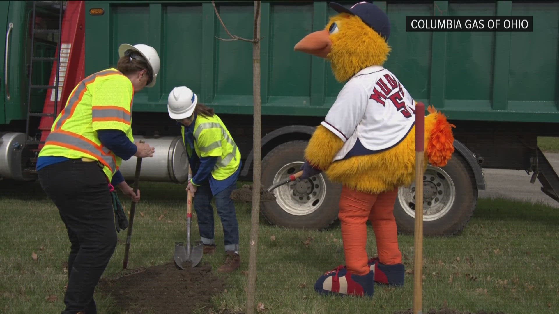 For every bat that gets shattered during a Mud Hens game, a tree will be planted a few miles away in a median on Manhattan Boulevard.