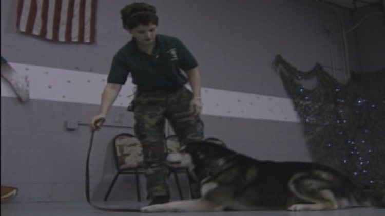 Wags & Whiskers: Ohio's boot camp for dogs | WTOL 11 Vault: Dec. 5, 1996