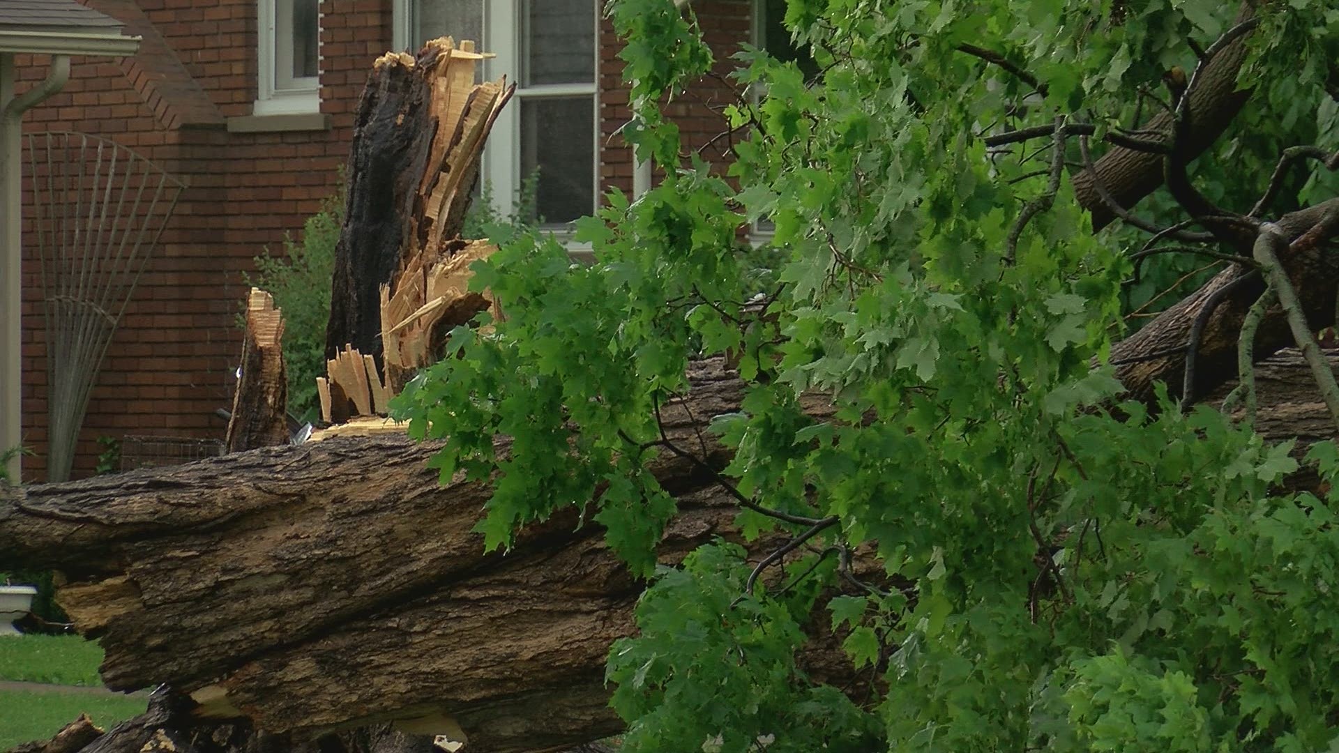 The storms downed trees and power lines and crushed vehicles in Port Clinton.