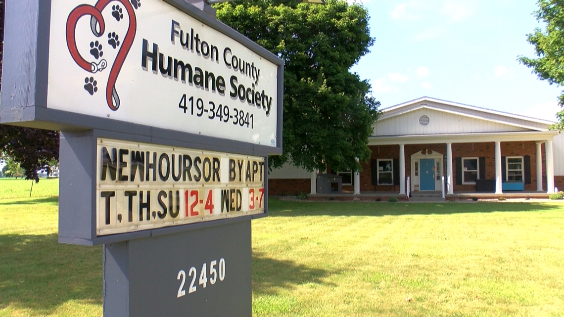 Fulton County Humane Society searching for answers after stray cats found dead in Archbold