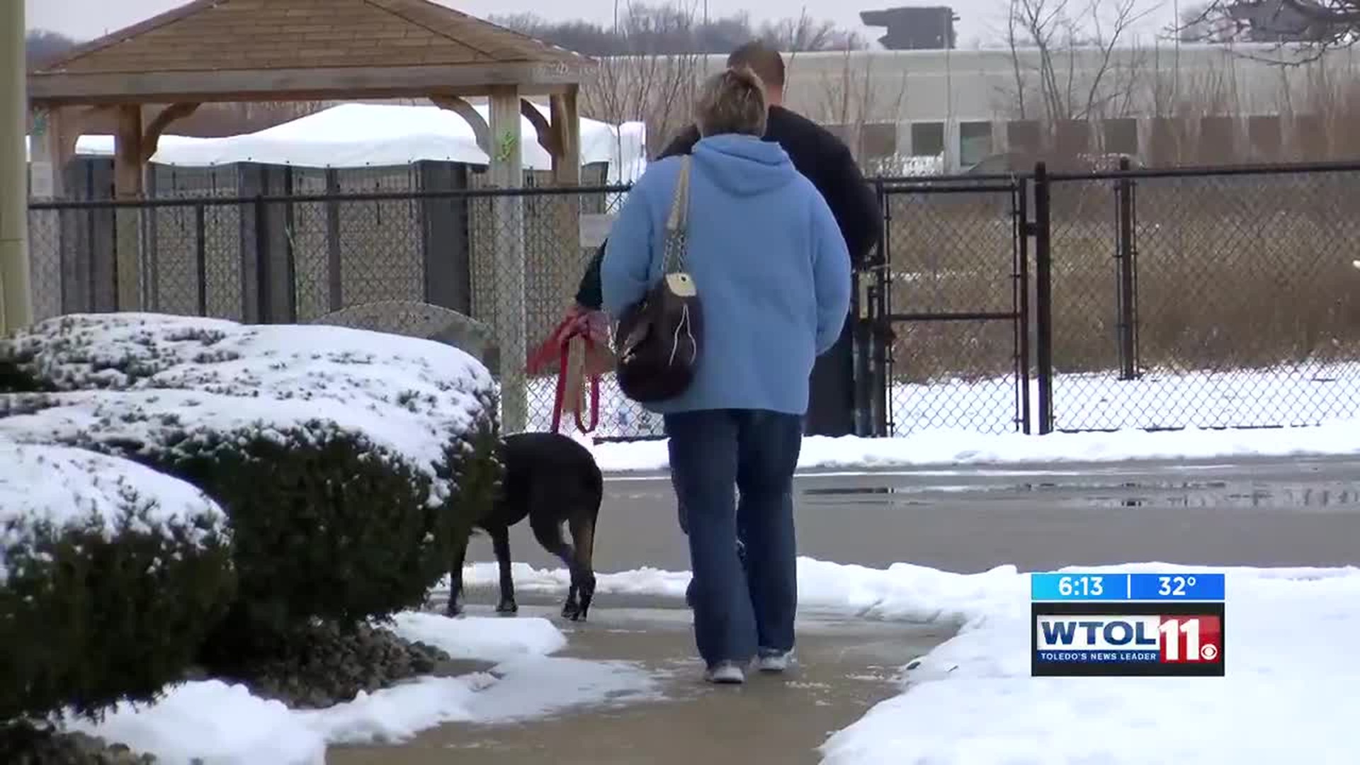 Experts: If it’s too cold for us, it’s too cold for our pets