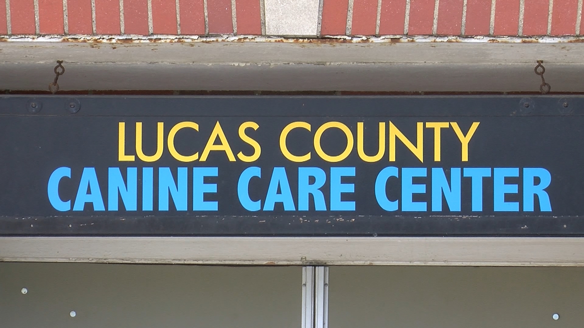 Employees are asking commissioners to act to protect them as the investigation nears an end into the alleged abuse of a dog by an LC4 worker.