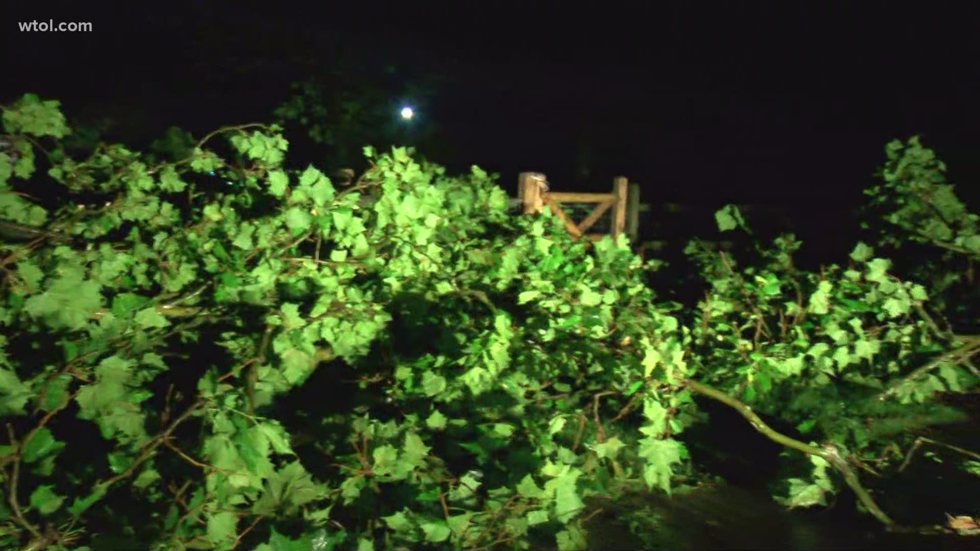 Branches, trees, and power lines were down across Sylvania and west Toledo after the storm moved through.