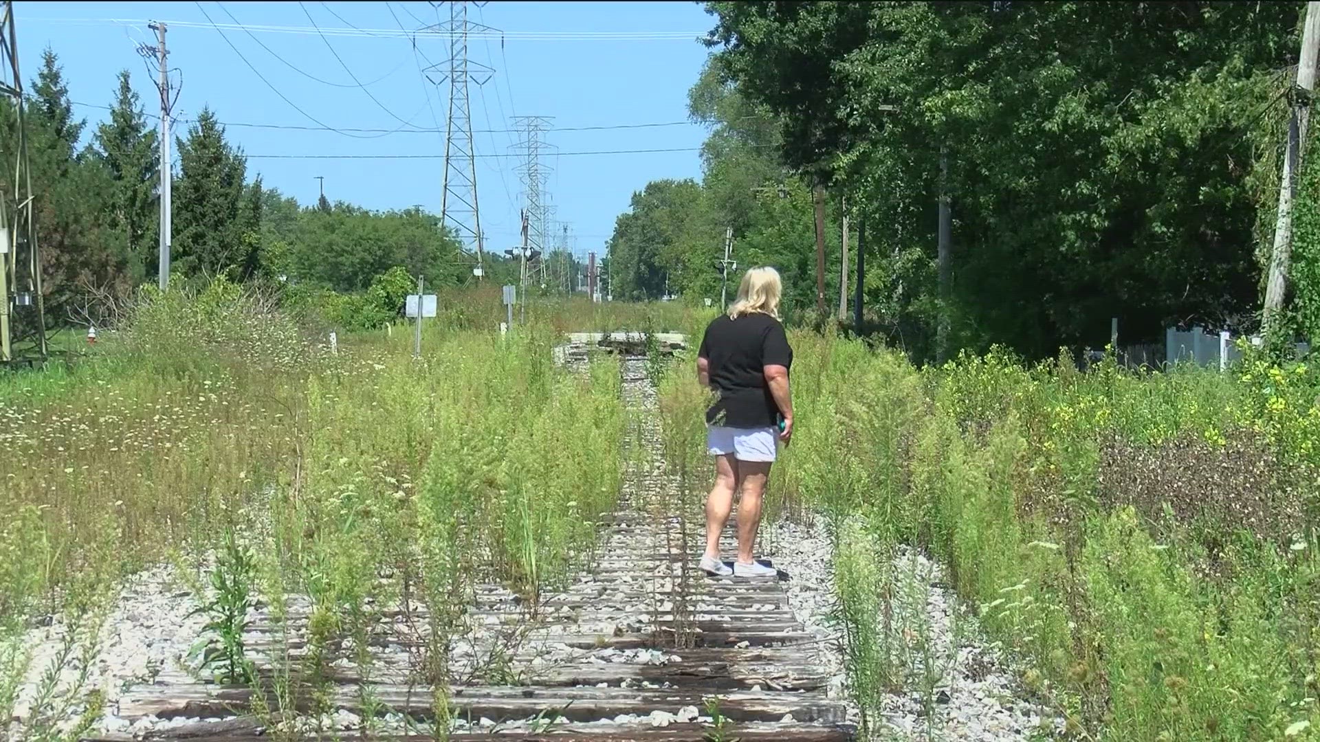 Rhonda Hayes says all kinds of vermin and weeds have invaded her property since Norfolk Southern stopped using its tracks behind her house.