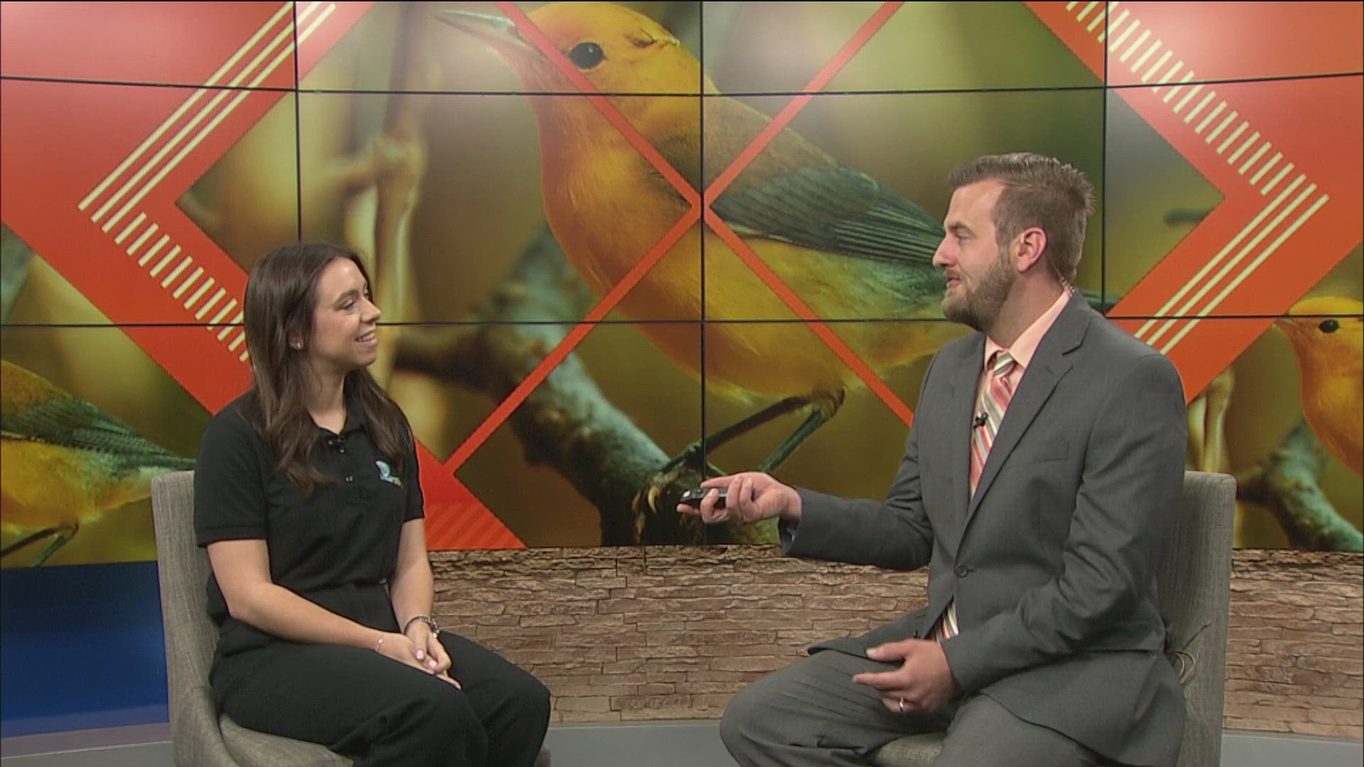 WTOL 11's Jon Monk talks with Sutton Reekes from Imagination Station about the science of birding events this week during the Biggest Week in American Birding.