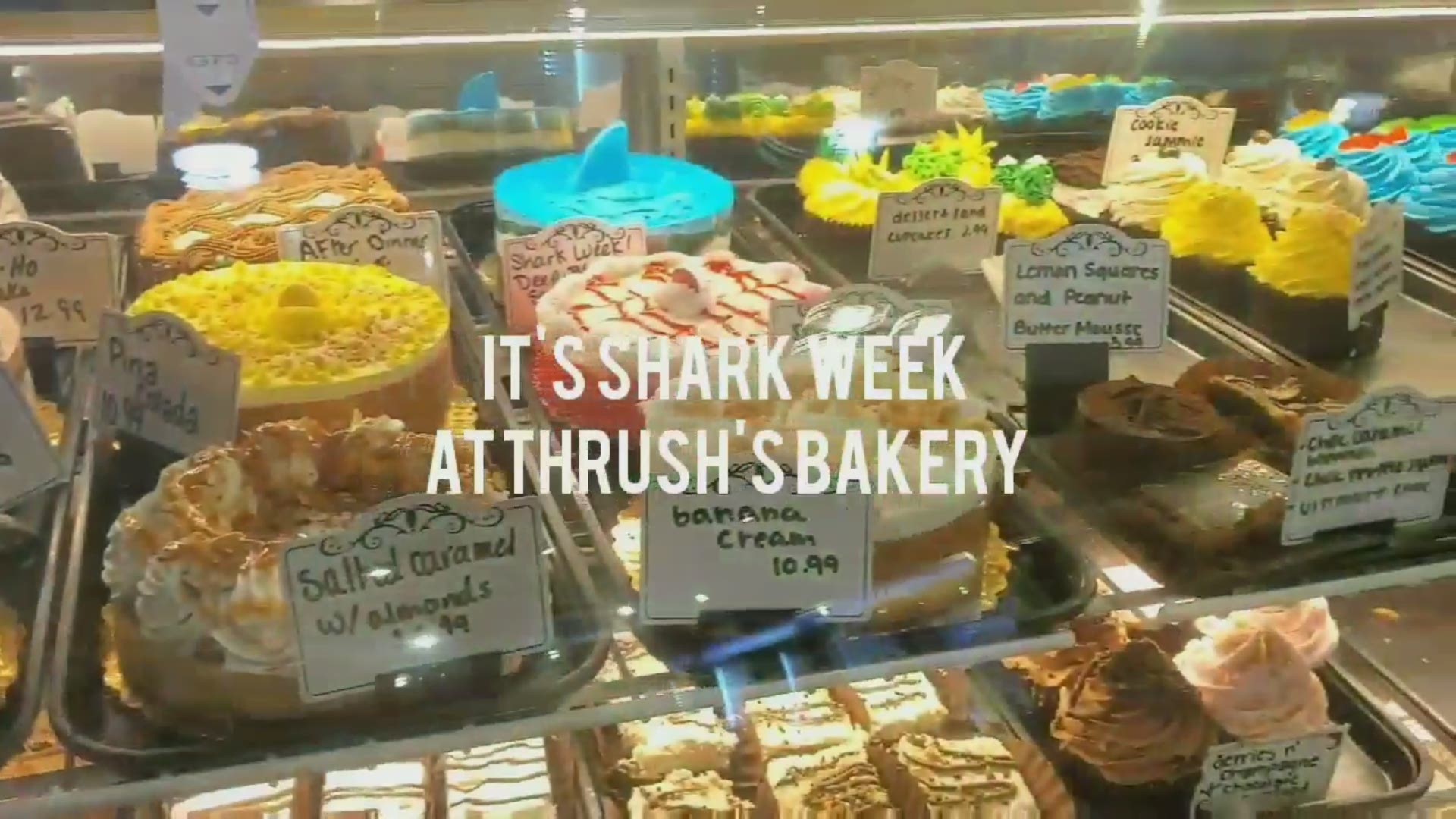 Thrush's Bakery is serving up shark-themed treats through Saturday in honor of National Geographic's annual 'Shark Week.'