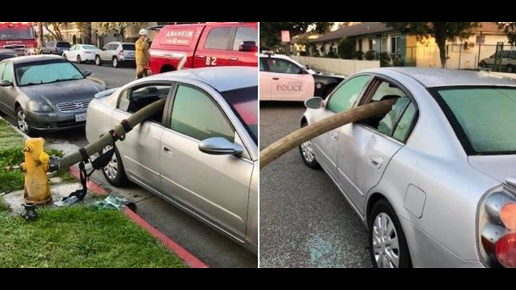 California resident learns the hard way why you shouldn’t park in front ...