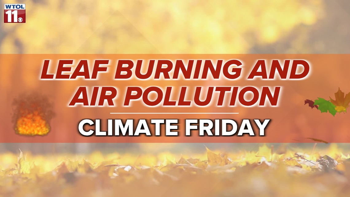 Explaining the health and environmental dangers of burning leaves