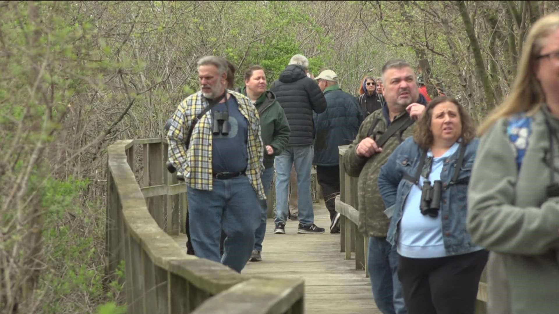 As many as 100,000 birders are anticipated to visit northwest Ohio over the next month.