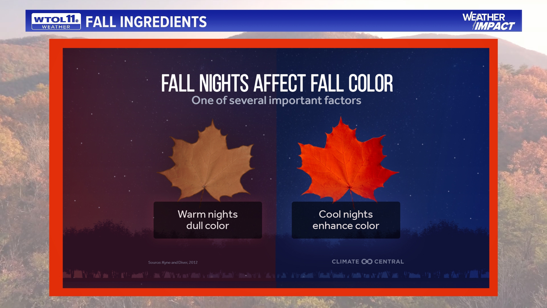 Why do leaves change colors during the fall season? | wtol.com
