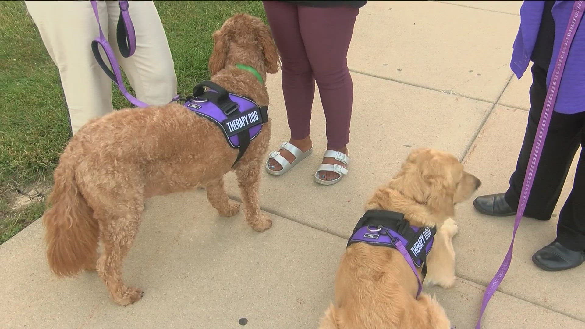 Maumee City Schools students can learn and hone skills like respect with therapy dogs in the school.