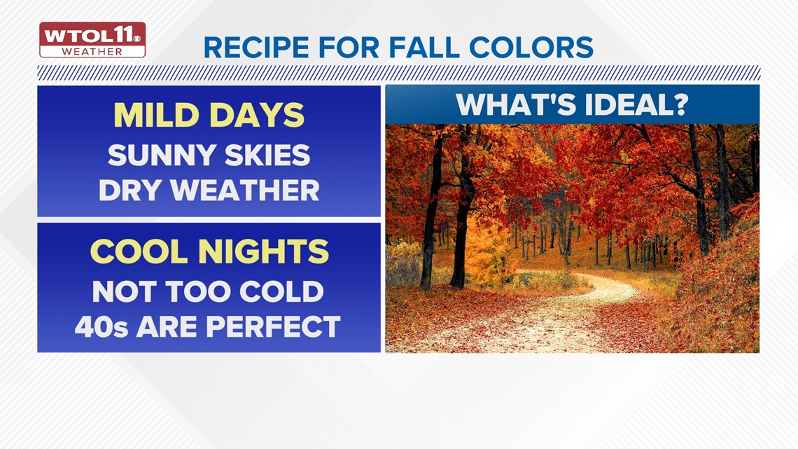 Climate Friday | How is climate change affecting fall colors? | wtol.com