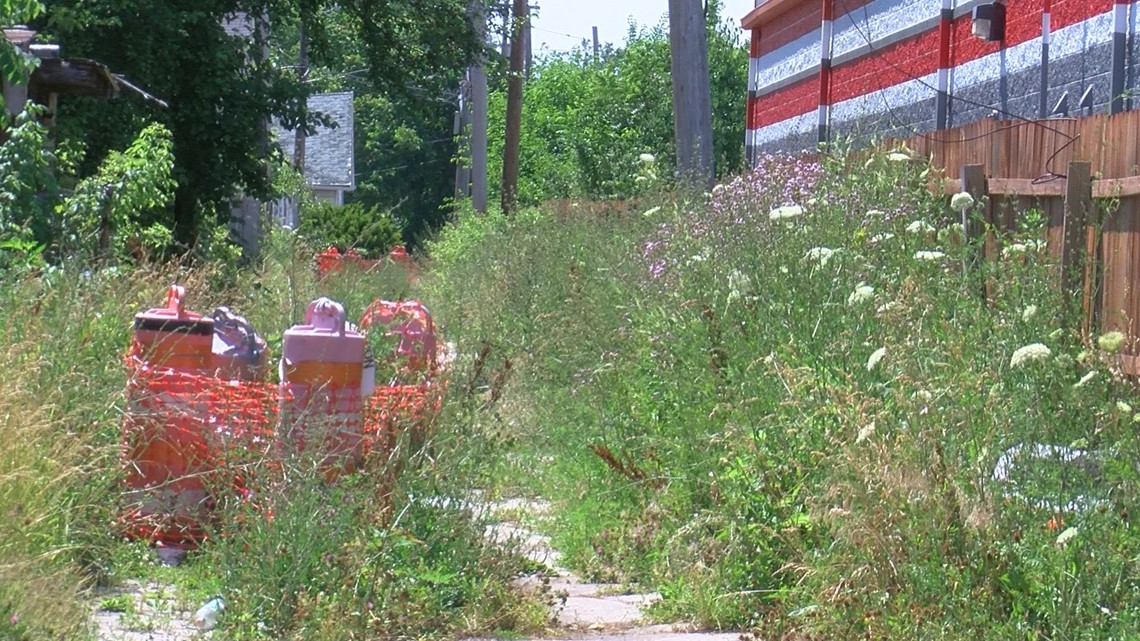 Woodland Avenue central Toledo - Vimarsana News