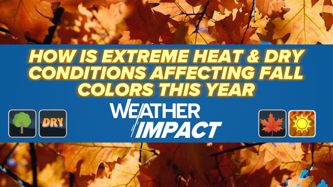 Will recent extreme heat and dry conditions affect fall colors? | wtol.com