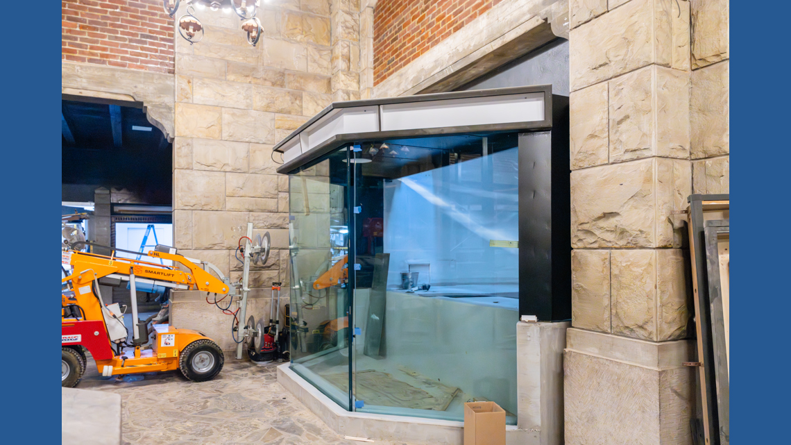 New crocodile exhibit anchors Reptile House renovation as Toledo Zoo heads toward levy vote