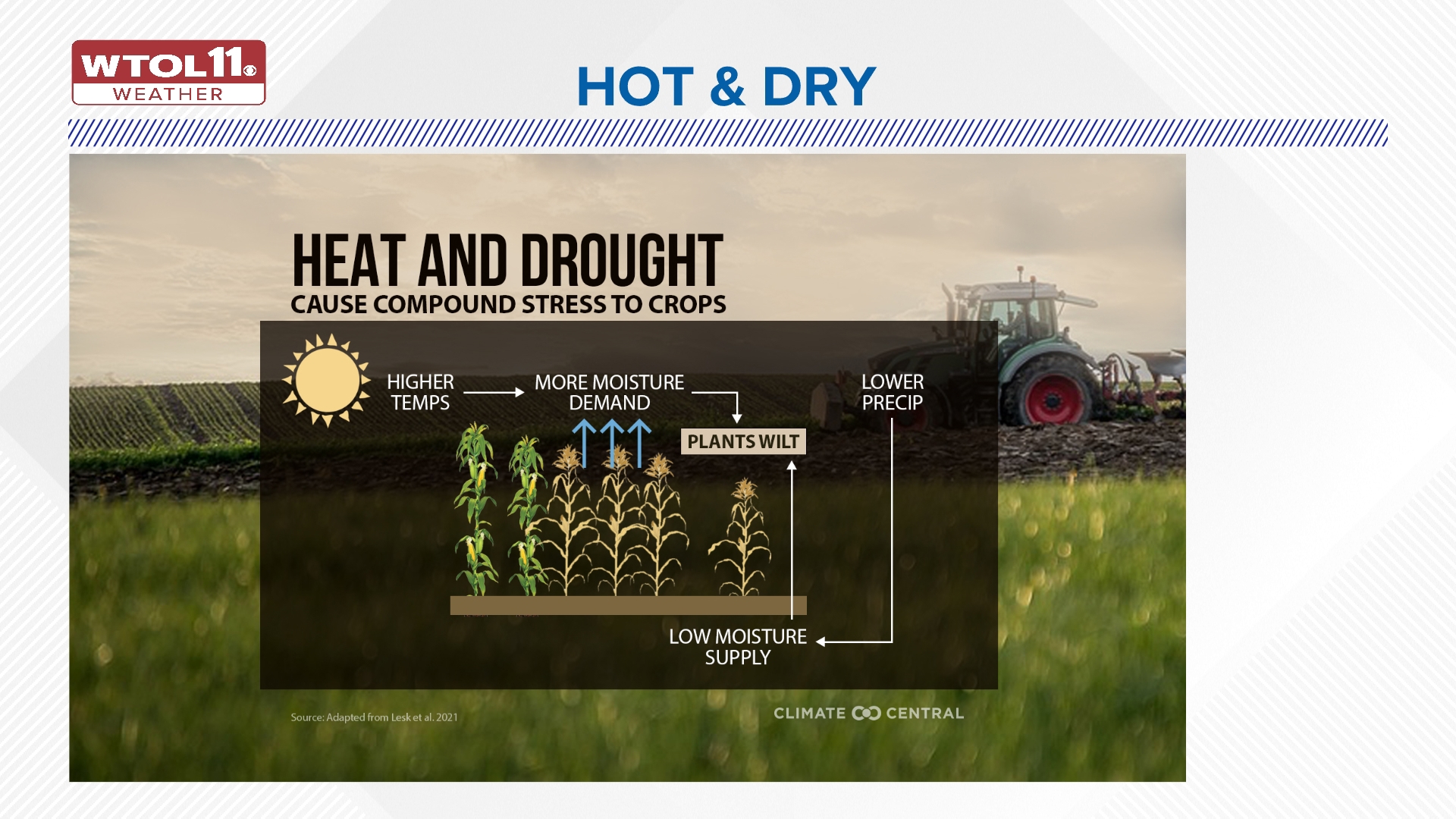 How are drought conditions impacting northwest Ohio agriculture? | wtol.com