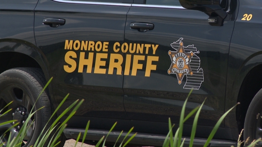 Suspect in custody after Monroe County pellet gun shooting | wtol.com