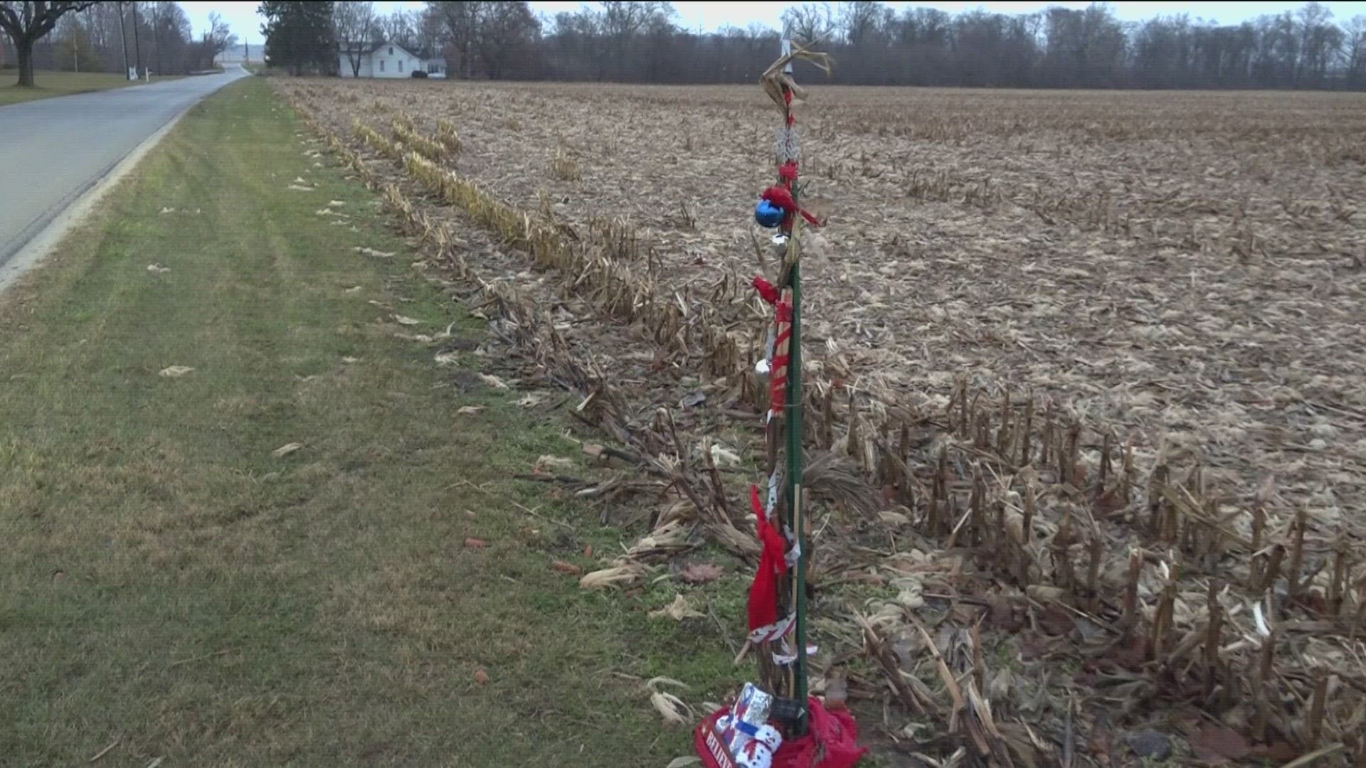 On the edge of a cornfield in rural Wood County, a little cornstalk is bringing Christmas magic to people in the area.