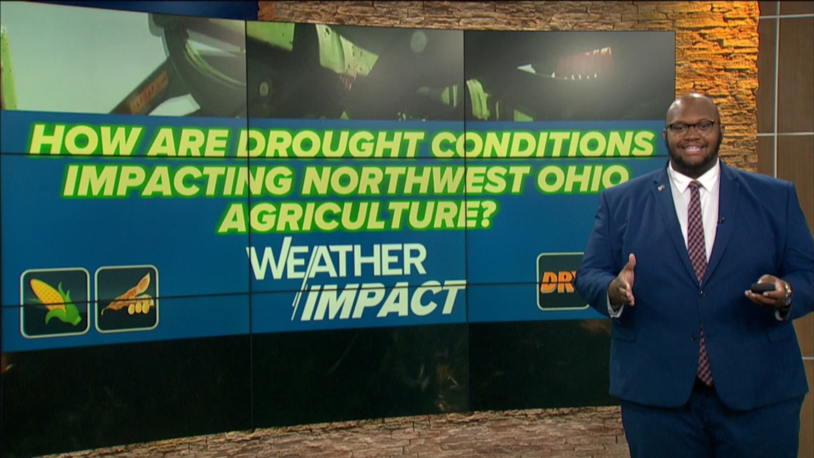 How are drought conditions impacting northwest Ohio agriculture? | WTOL ...