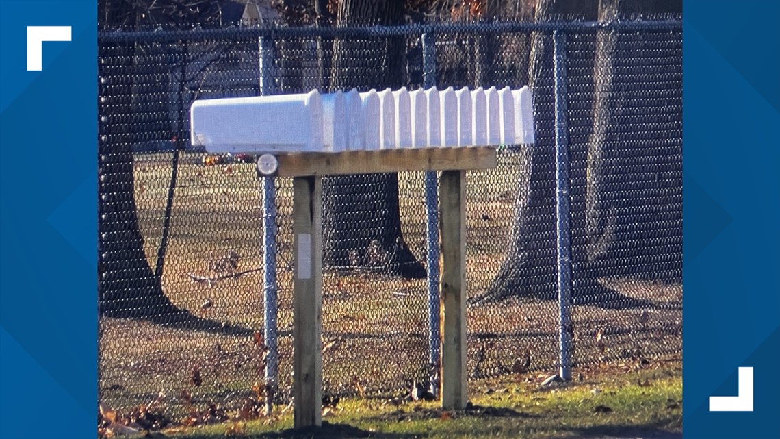 Still no mail for one west Toledo neighborhood where postal workers say a vicious dog is not restrained - Vimarsana News