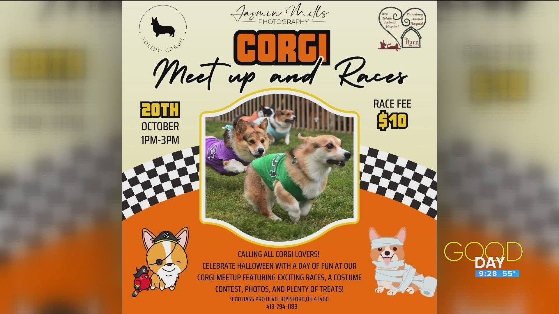 Haley Woyame and Camryn Goodell talk the West Toledo/Perrysburg Animal Hospital Corgi Meetup!