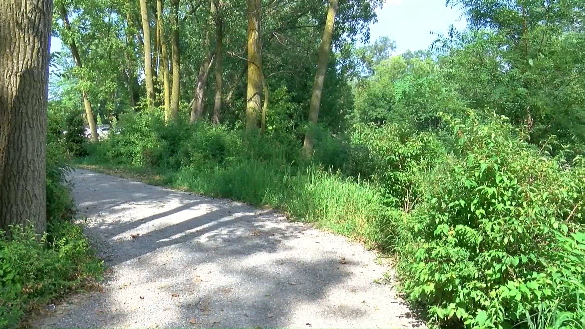 Former Toledo dump site transformed into new Pontiac Preserve nature ...