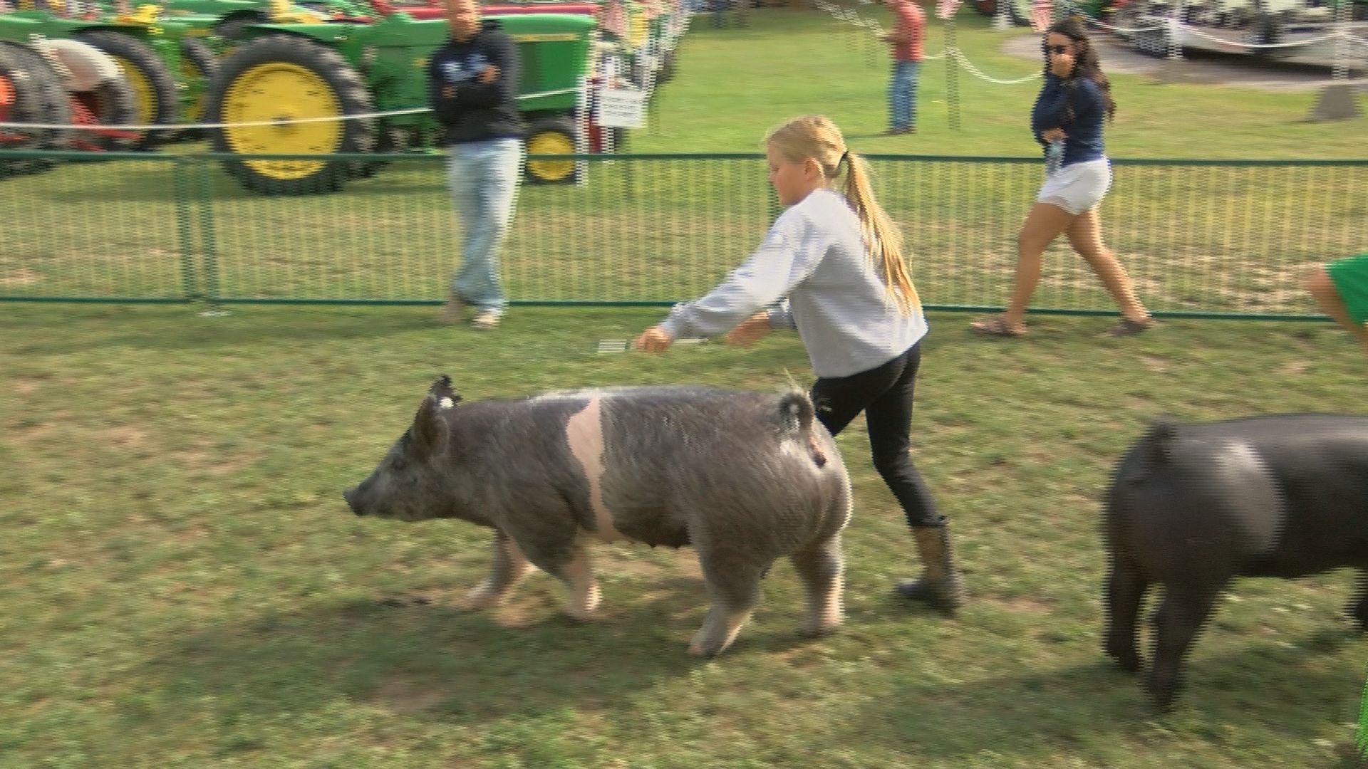 The 4-H competition at the Fulton County Fair is about more than just showing animals. It's where kids showcase months of hard work.