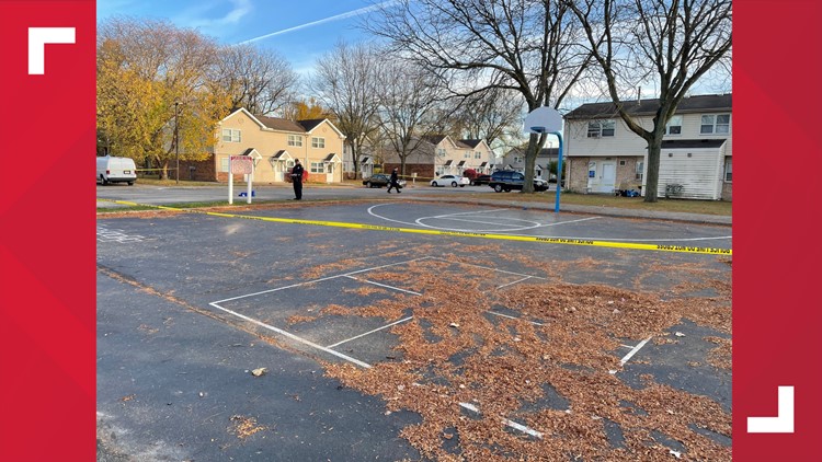 Person Shot In South Toledo Elmdale Court Thursday Afternoon | Wtol.com