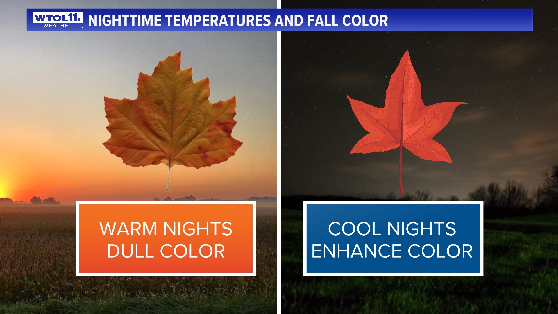 How weather impacts fall leaf colors | Climate Friday | wtol.com