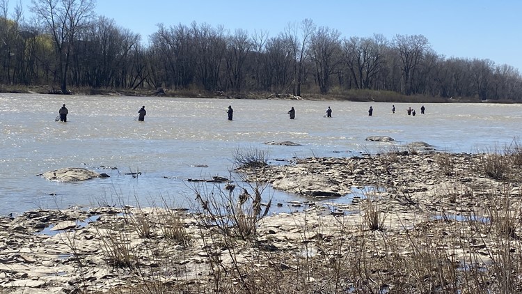 Walleye run rolls on as warm weather brings fishermen to northwest Ohio