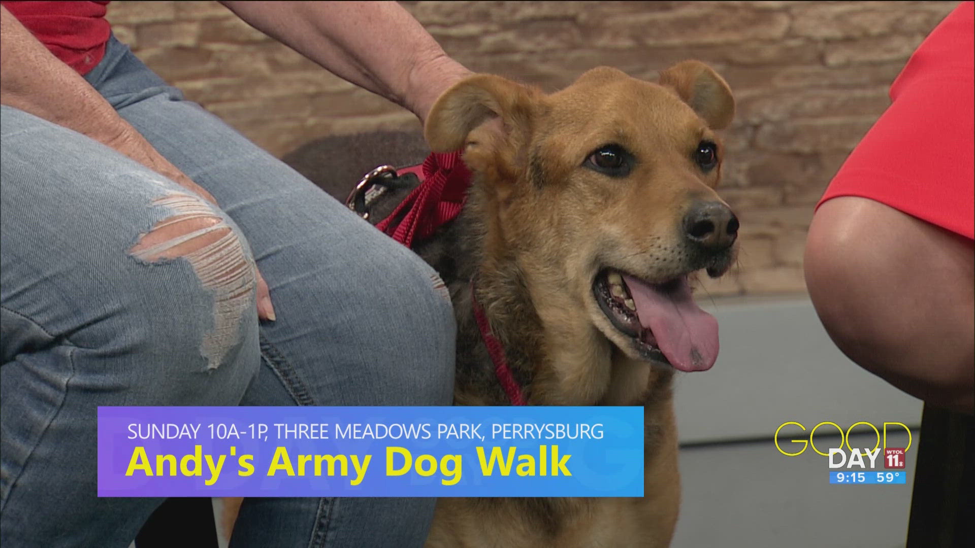 Susan Bechtel,  Patti Reitz and 'May' visit to talk a dog walk that raises money for canine cancer research.