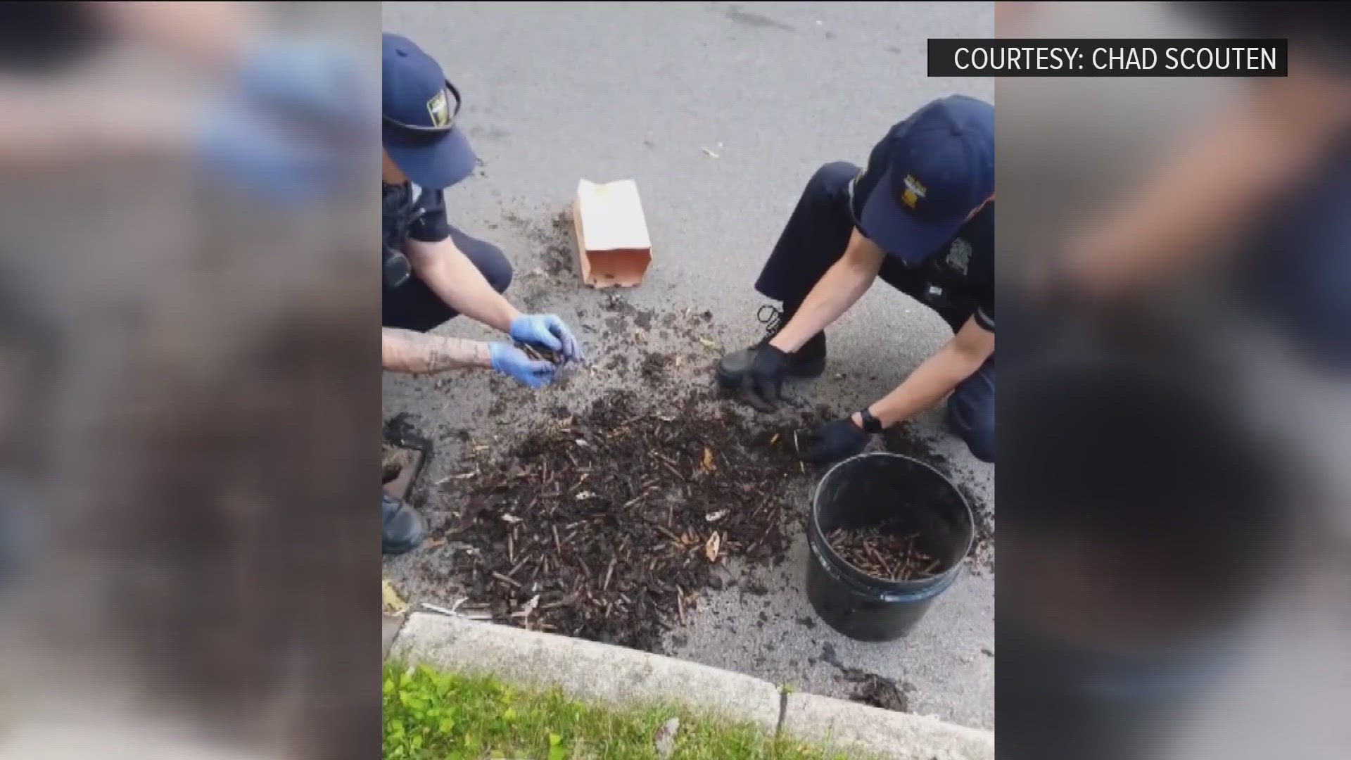 It was a strange find on Wednesday in a west Toledo storm drain, where hundreds of rounds of live ammunition were found, seemingly dumped into a city storm drains.