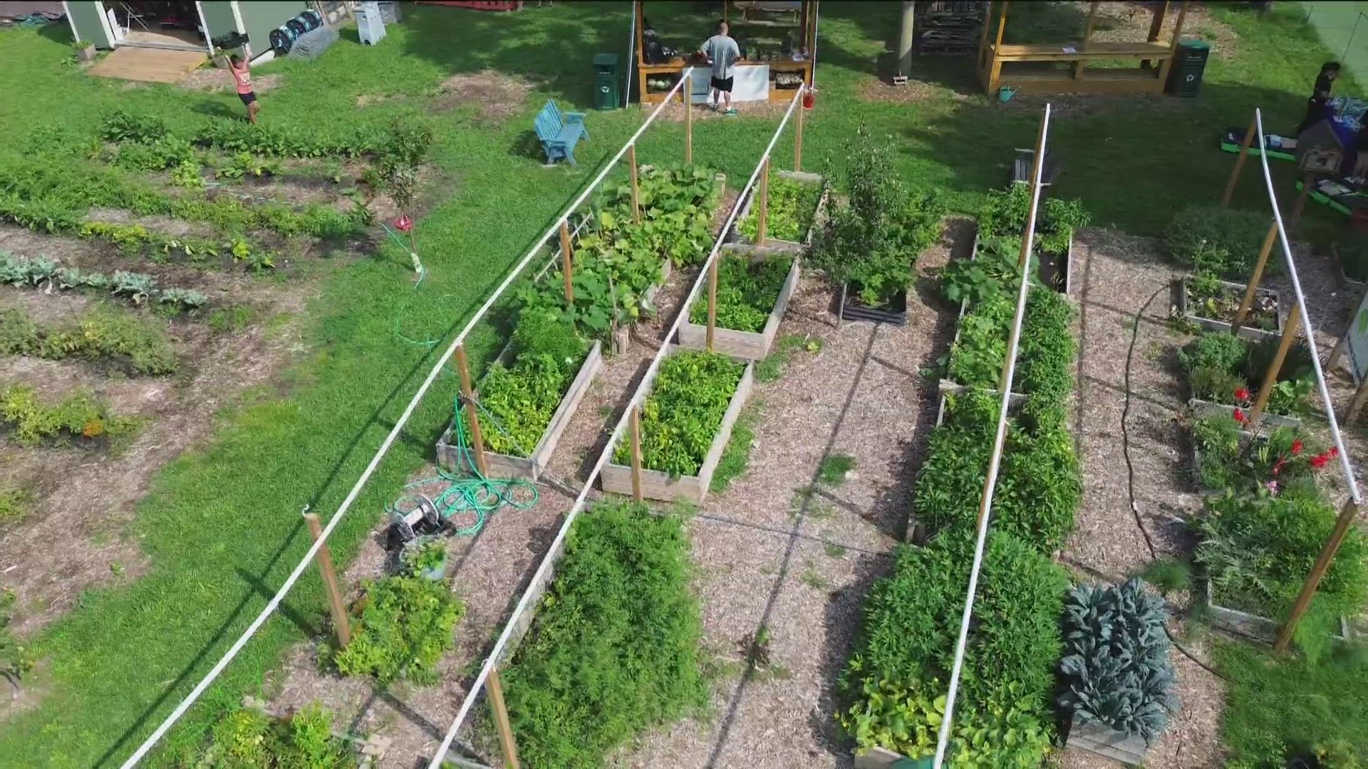 Youth leader Via Bridges said the proof is in their summer bloom. She said the hoop house has watermelon, zucchini, eggplant, squash, strawberries and raspberries.