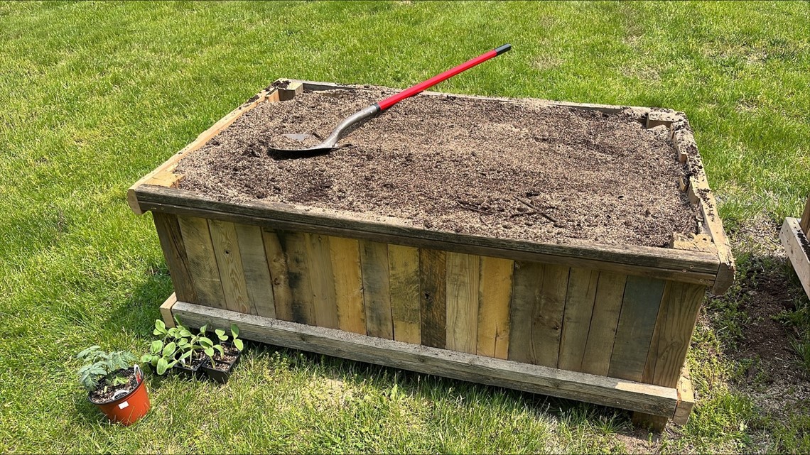 It's gardening season! The GOOD DAY team gets planting - Vimarsana News