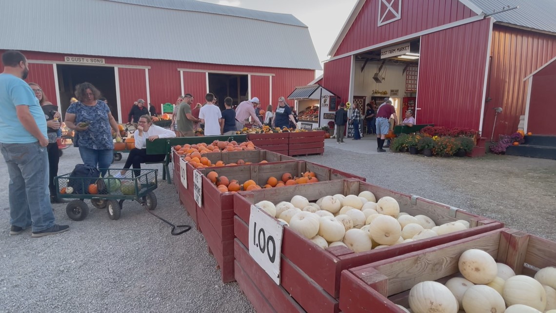 Gust Bros. Pumpkin Farm is wrapping up the fall season