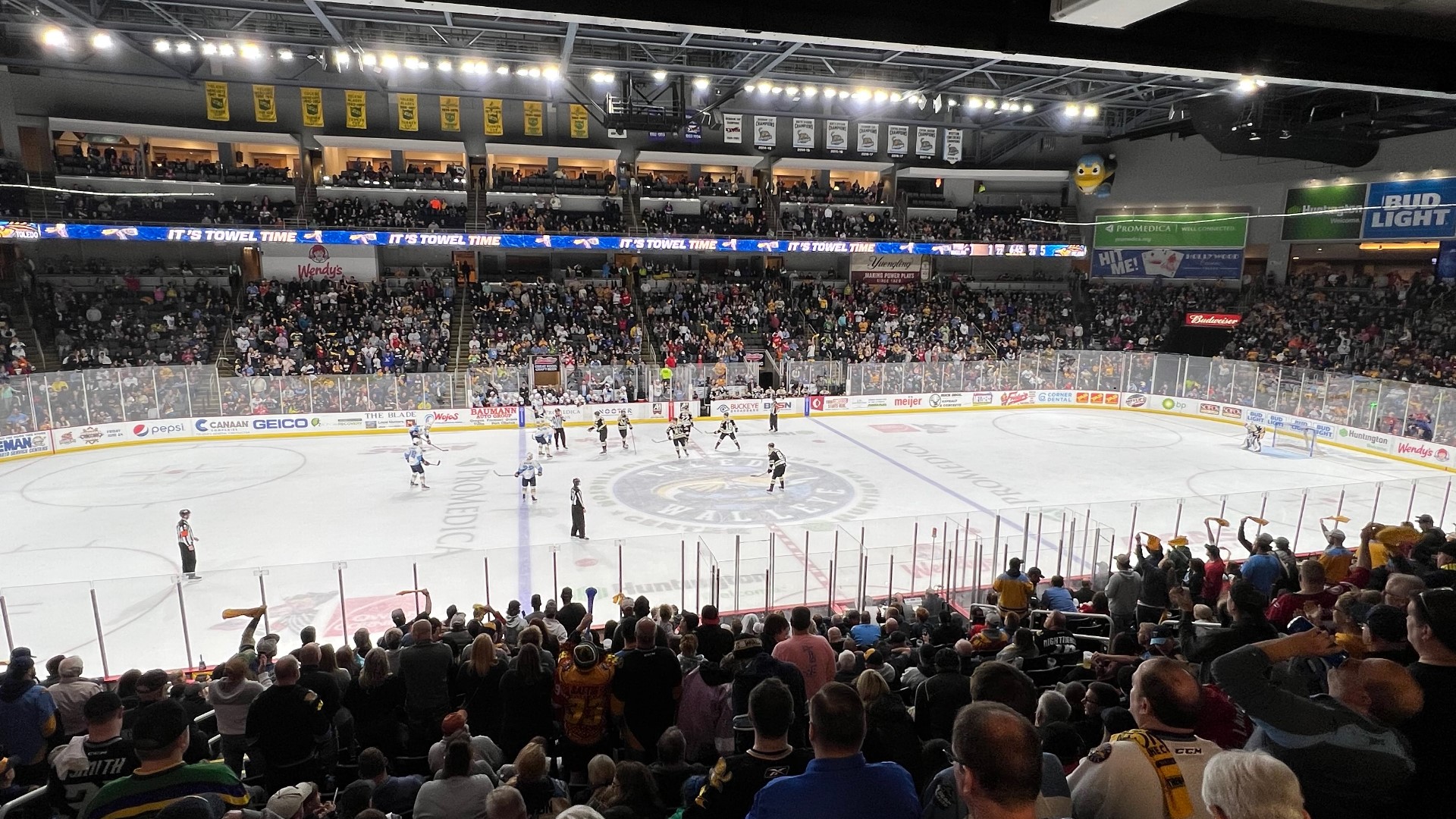 toledo walleye live