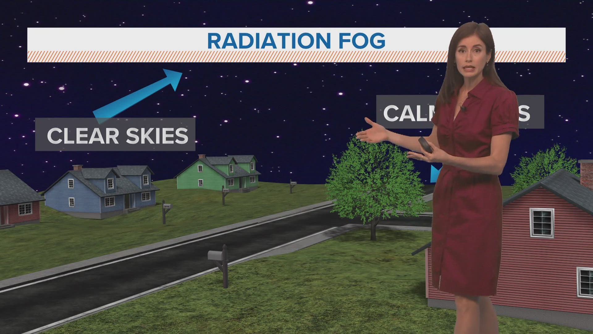 Meteorologist Alexandra Cranford explains the different types of fog and what to expect.