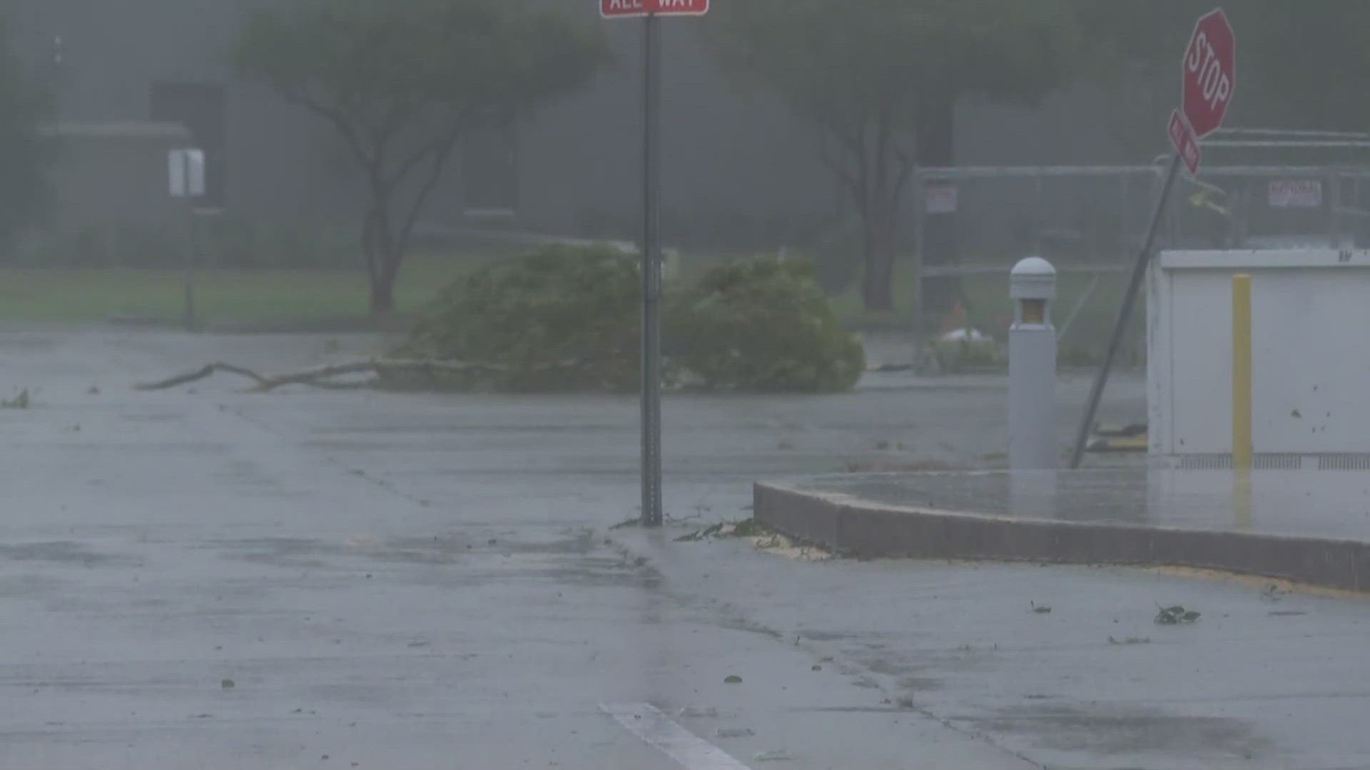 Watch as heavy winds from Hurricane Francine break off a large tree limb and drag it away while WWL Louisiana's Lily Cummings reports on the storm live from Houma.