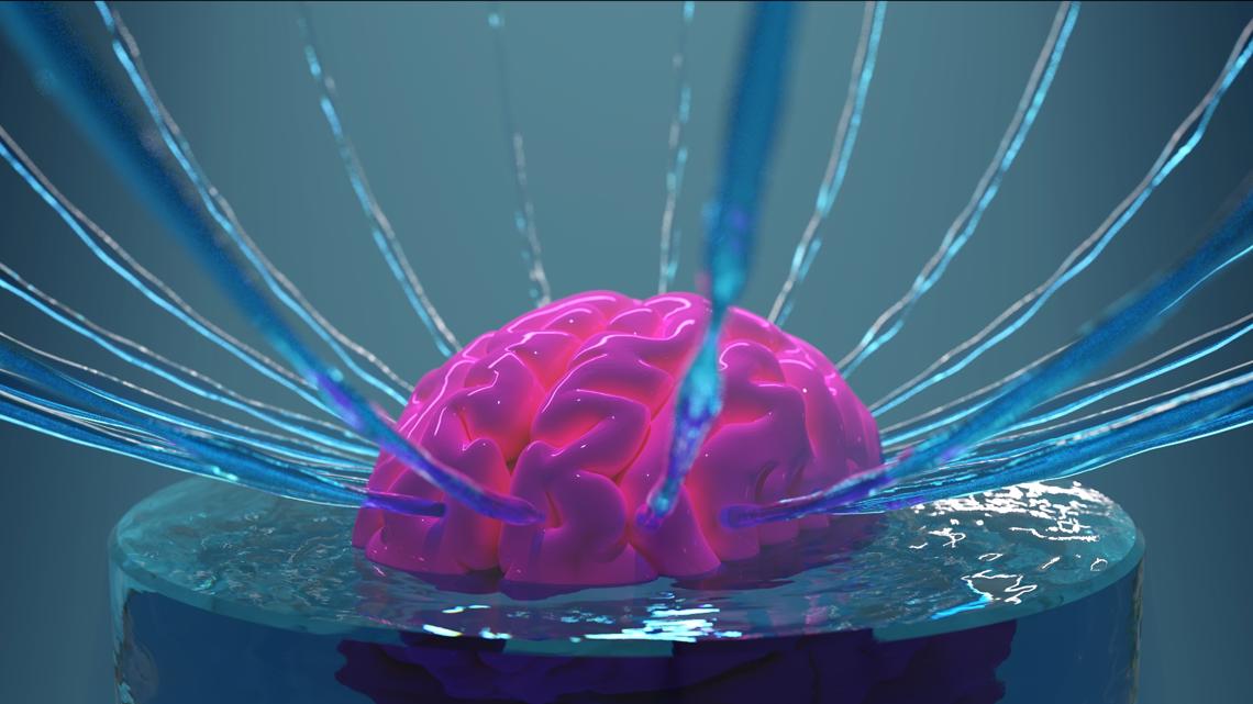 Can you upload a brain into a computer? Georgia Tech scientist's essay ...