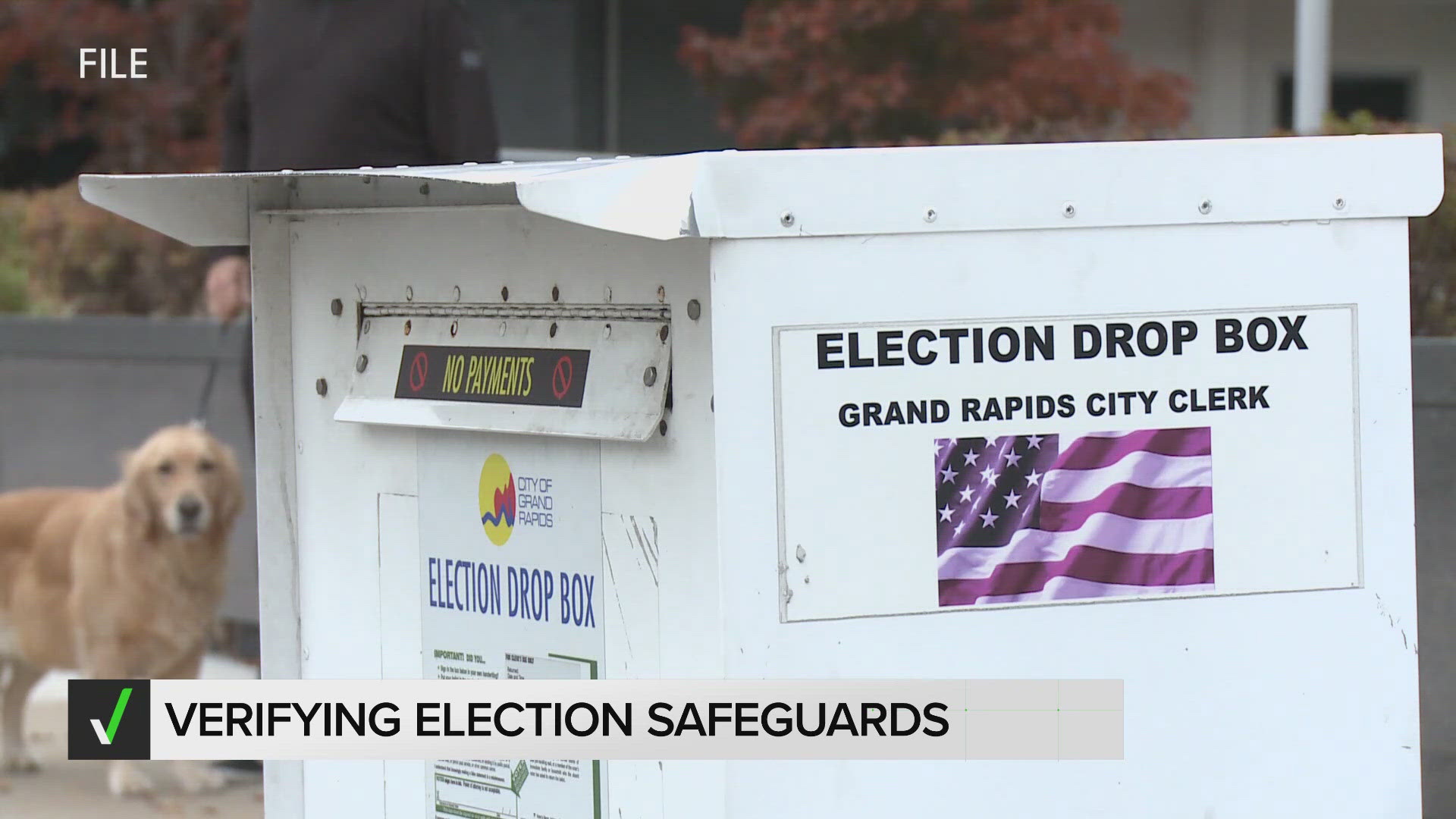 13 ON YOUR SIDE's Political Reporter Josh Alburtus verifies some of the steps in place to ensure Michigan's election process is secure.