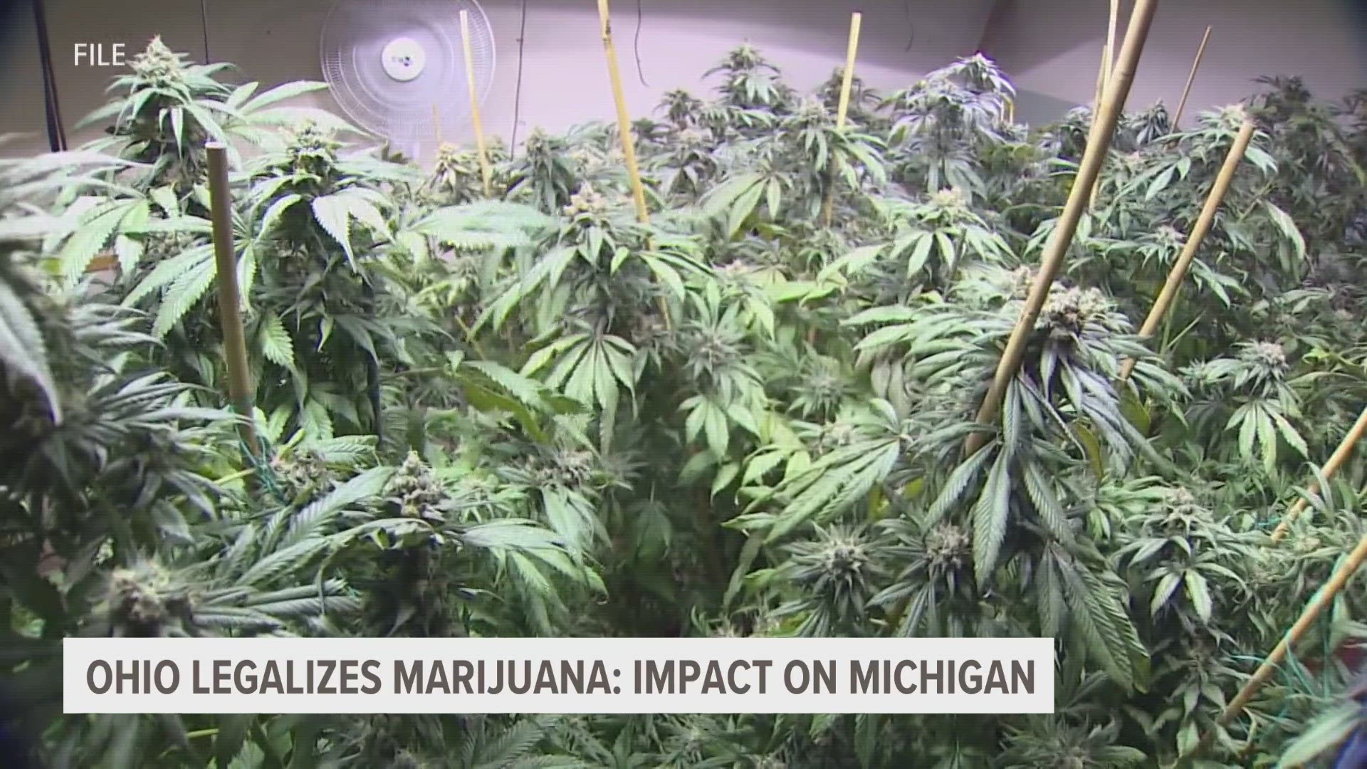 How MI May Be Affected By Ohio Approving Recreational Marijuana | Wtol.com