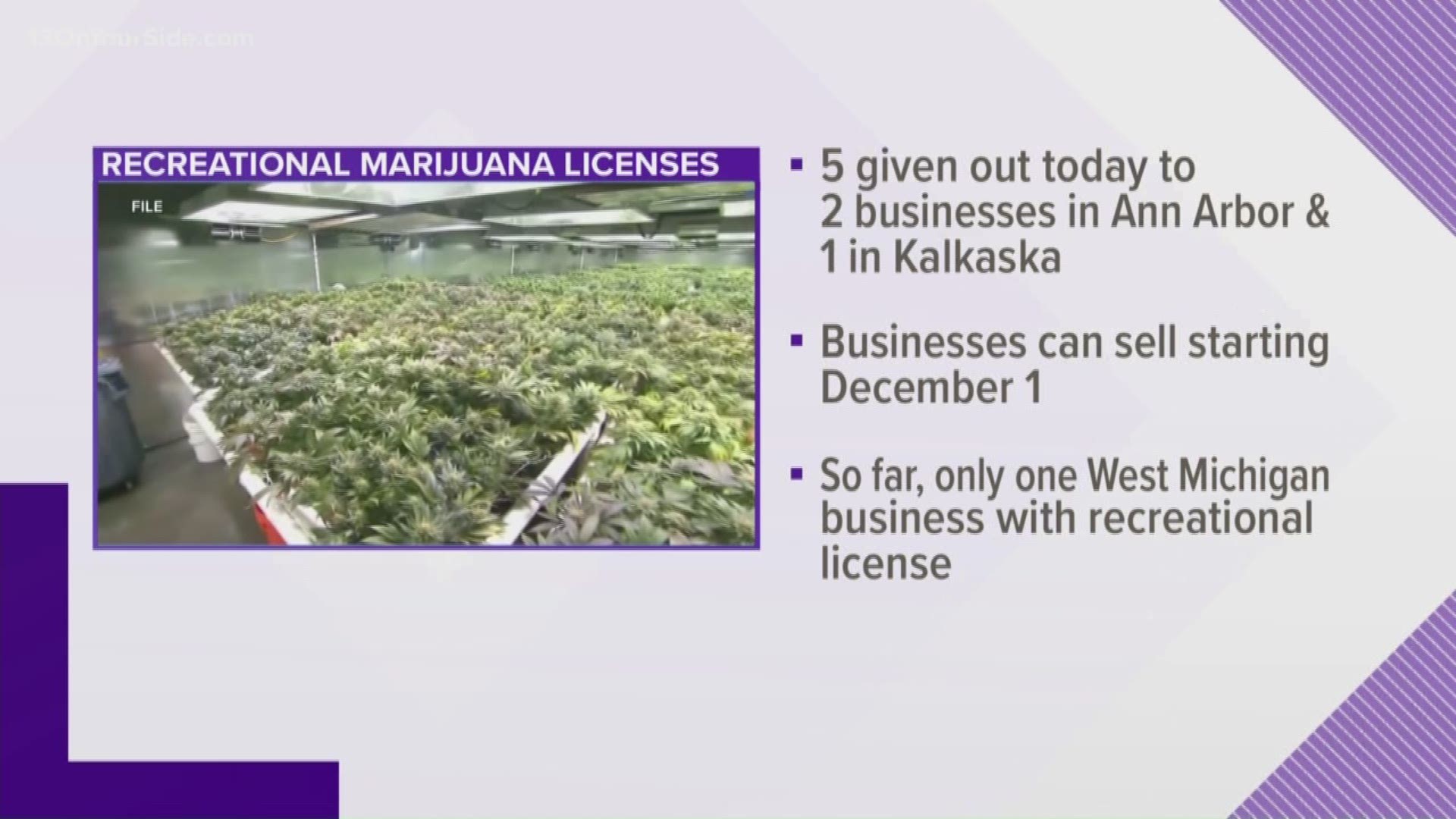 Exclusive Brands LLC in Ann Arbor received licenses for growing, processing and selling adult-use pot.