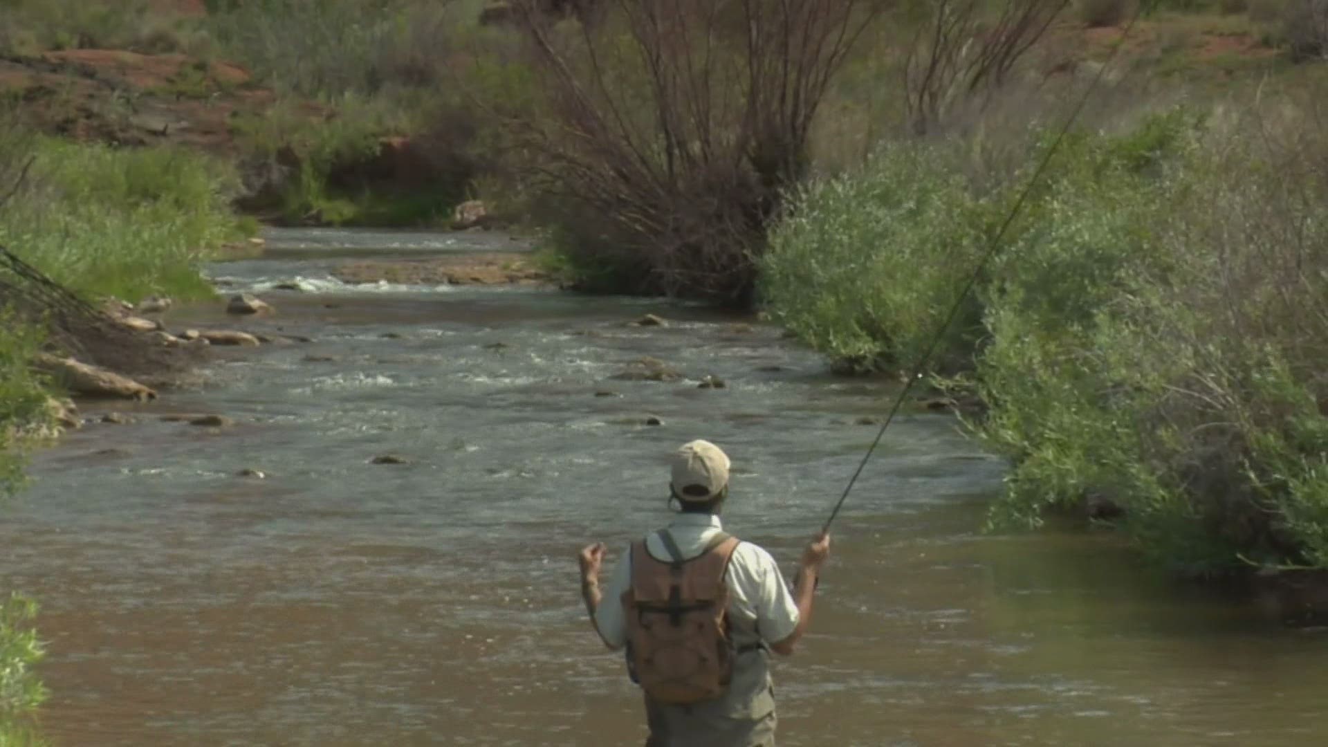 State officials saw a spike in the sale of hunting licenses last year; they say a greater appreciation for the outdoors is also getting people hooked on fishing.