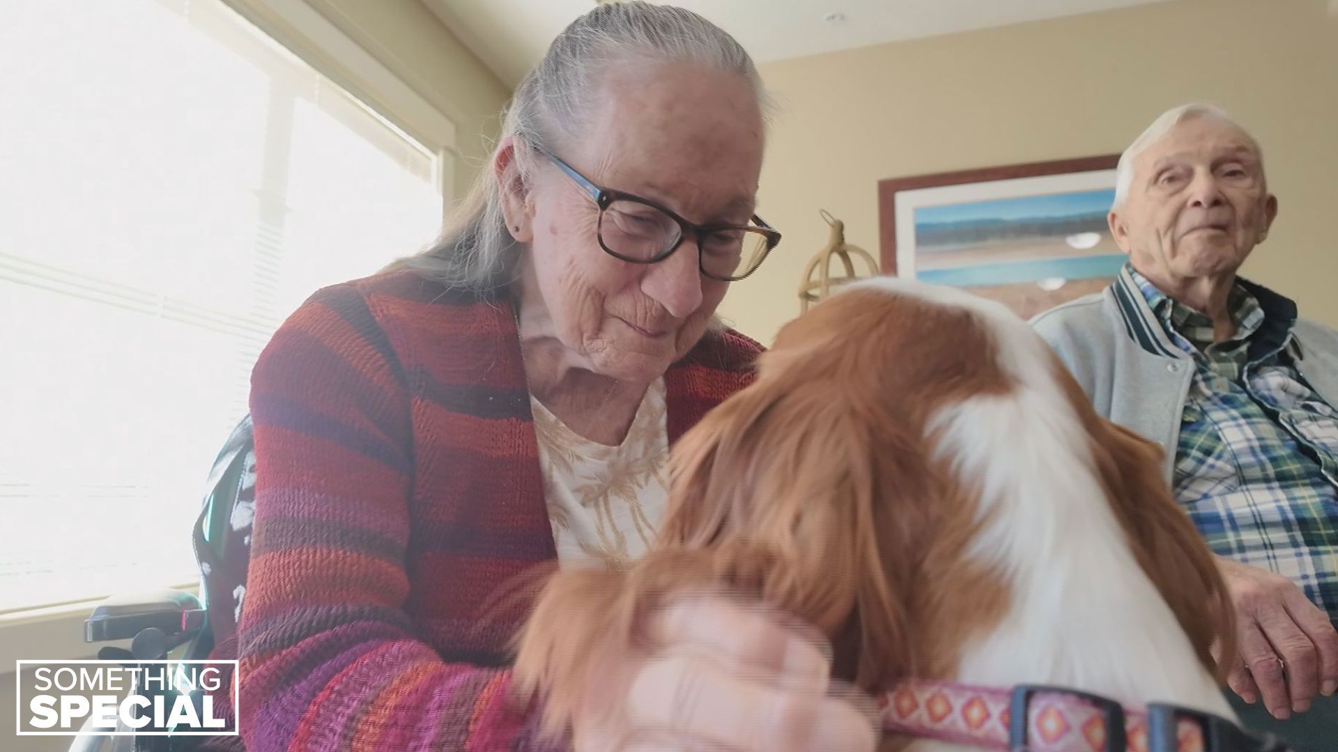 Here's the story of a woman touching people with kindness and a bit of puppy love.