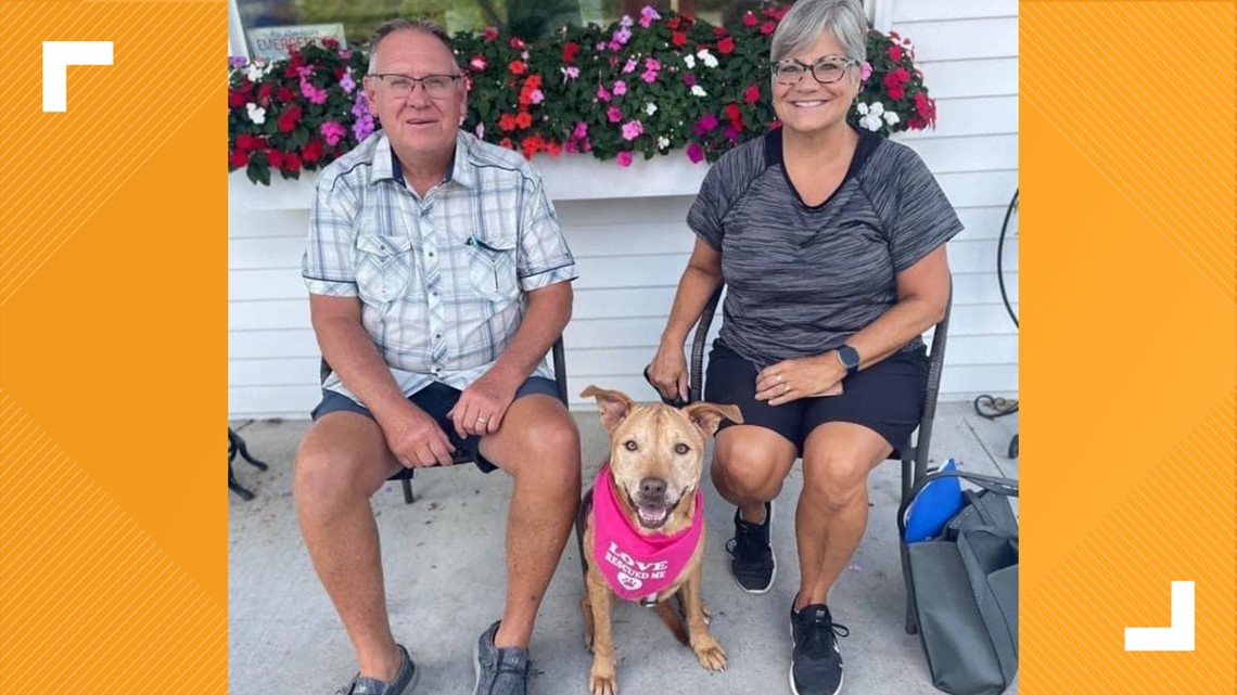Dog finds home in West MI after 8 years in shelter system - Vimarsana News