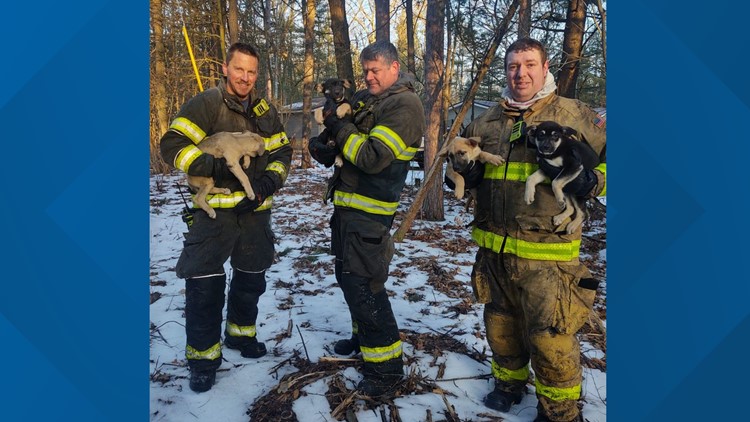 Firefighters save 5 puppies from house fire in Muskegon Co.